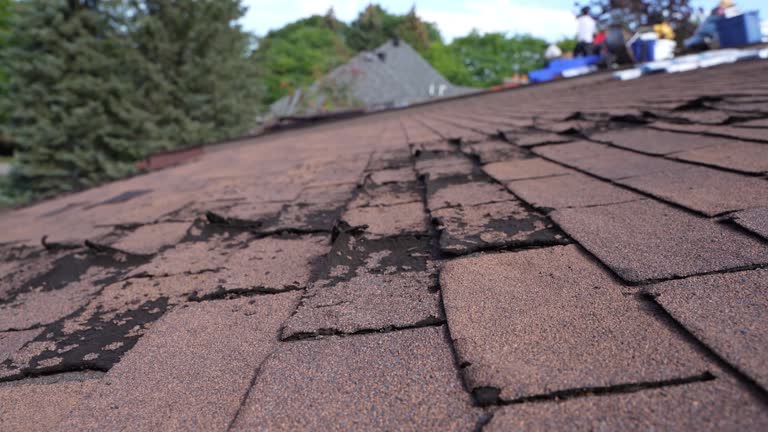 Best Wood Shake Roofing  in Dothan, AL