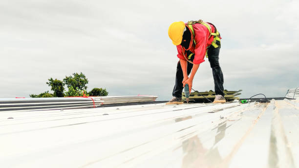 Best Roofing for New Construction  in Dothan, AL