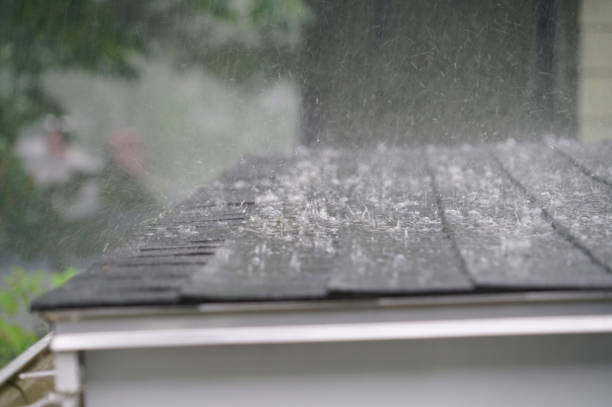Best Skylight Installation and Repair  in Dothan, AL