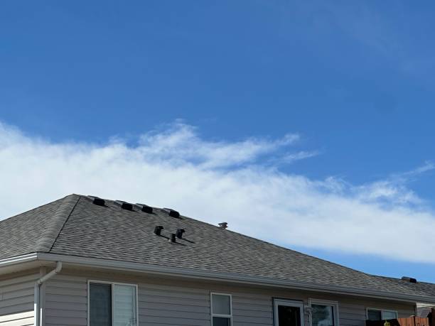 Best Chimney Flashing Repair  in Dothan, AL