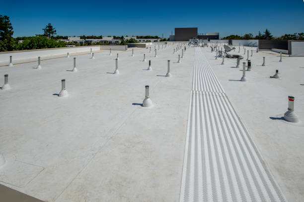 Best Commercial Roofing Services  in Dothan, AL